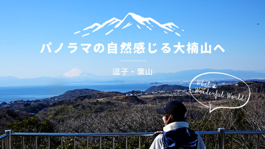 パノラマの自然感じる大楠山へ